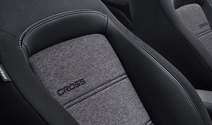 egea cross motor