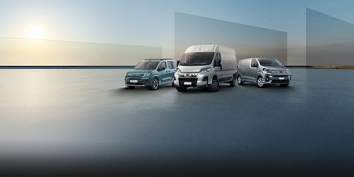 fiat professional